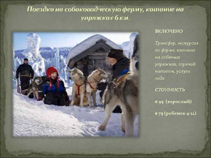 Поездка на собаководческую ферму, катание на упряжках 6 км. ВКЛЮЧЕНО Трансфер, экскурсия по ферме,