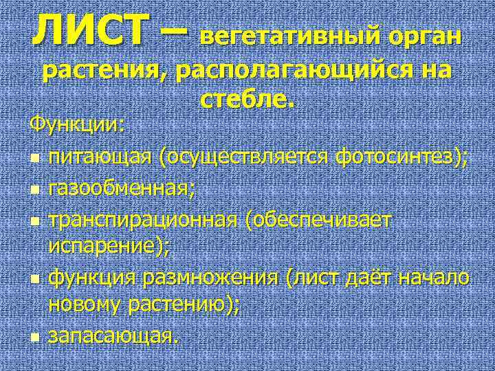 ЛИСТ – вегетативный орган растения, располагающийся на стебле. Функции: n питающая (осуществляется фотосинтез); n