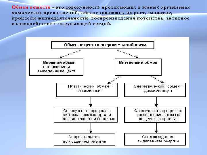 Обмен веществ – это совокупность протекающих в живых организмах химических превращений, обеспечивающих их рост,