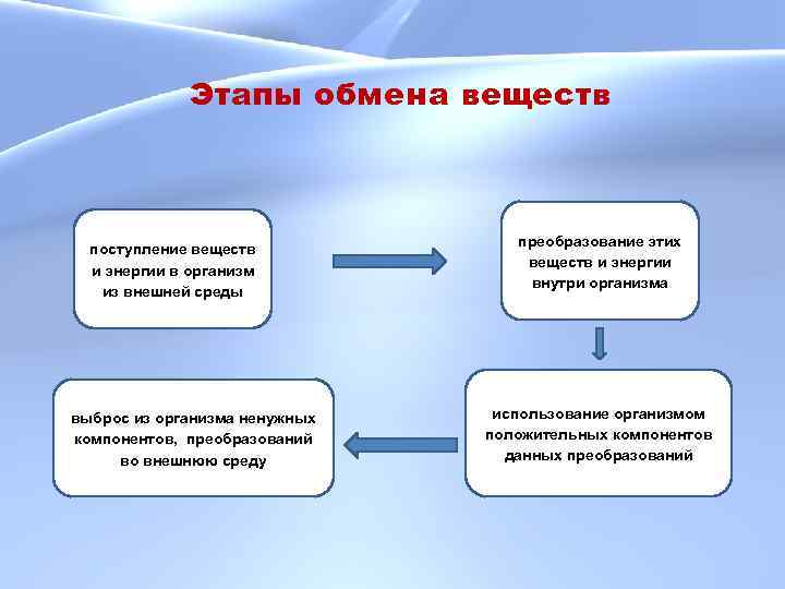 Этапы обмена веществ поступление веществ и энергии в организм из внешней среды выброс из