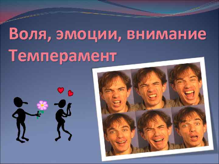 Воля, эмоции, внимание Темперамент 