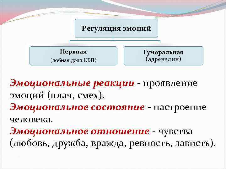 Регуляция эмоций Нервная (лобная доля КБП) Гуморальная (адреналин) Эмоциональные реакции - проявление эмоций (плач,