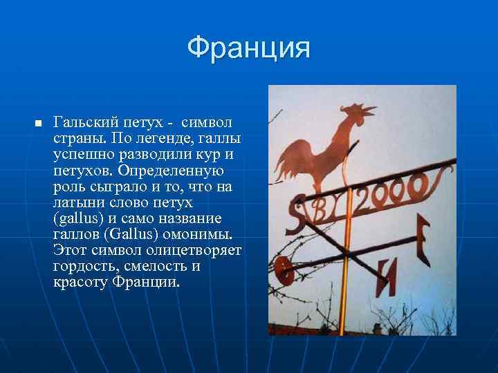 Франция n Гальский петух - символ страны. По легенде, галлы успешно разводили кур и