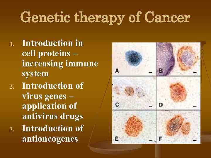 Genetic therapy of Cancer 1. 2. 3. Introduction in cell proteins – increasing immune