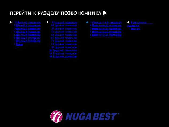 ПЕРЕЙТИ К РАЗДЕЛУ ПОЗВОНОЧНИКА▶ l 1 Шейный позвонок 2 Шейный позвонок 3 Шейный позвонок