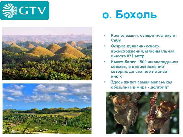 о. Бохоль • • Расположен к северо-востоку от Себу Остров вулканического происхождения, максимальная высота