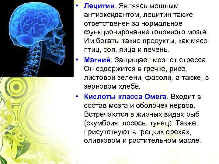  • Лецитин. Являясь мощным антиоксидантом, лецитин также ответственен за нормальное функционирование головного мозга.