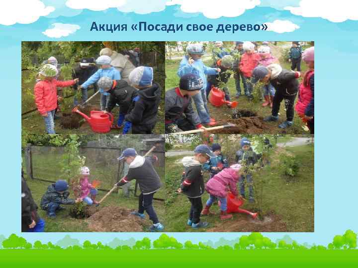 Акция «Посади свое дерево» 