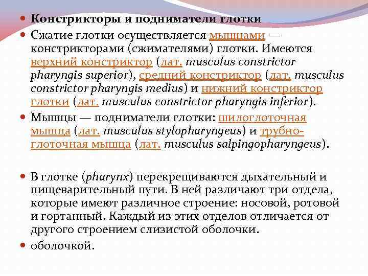  Констрикторы и подниматели глотки Сжатие глотки осуществляется мышцами — констрикторами (сжимателями) глотки. Имеются