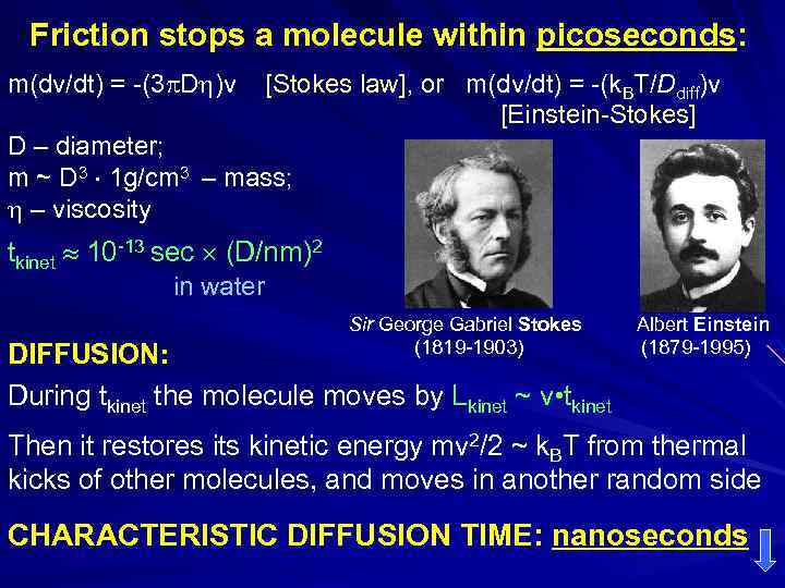 Friction stops a molecule within picoseconds: m(dv/dt) = -(3 D )v [Stokes law], or