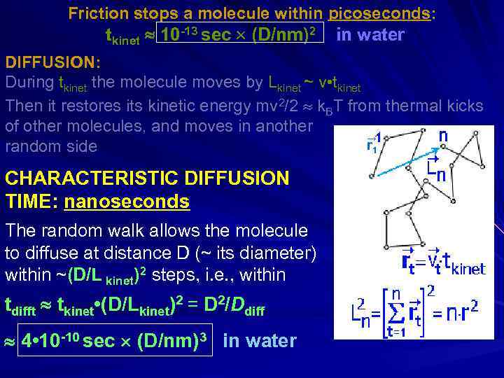 Friction stops a molecule within picoseconds: tkinet 10 -13 sec (D/nm)2 in water DIFFUSION: