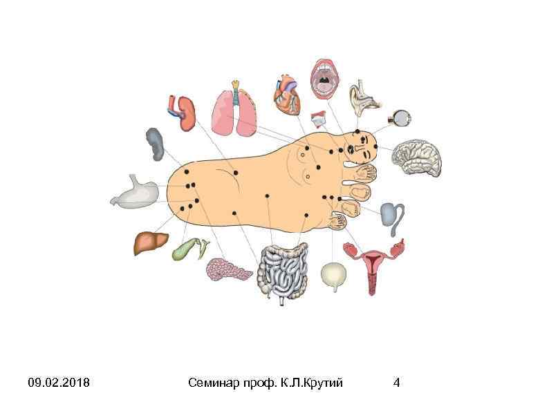 09. 02. 2018 Семинар проф. К. Л. Крутий 4 