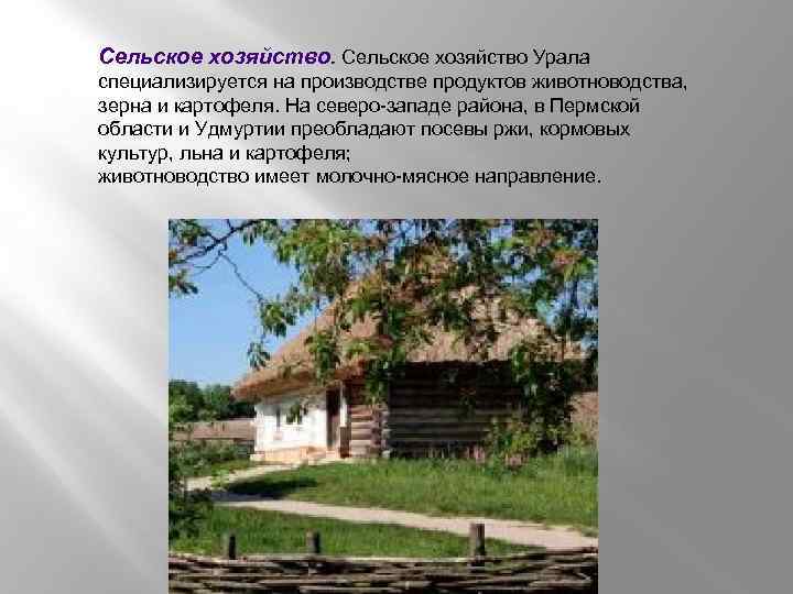 Сельское хозяйство Урала специализируется на производстве продуктов животноводства, зерна и картофеля. На северо-западе района,