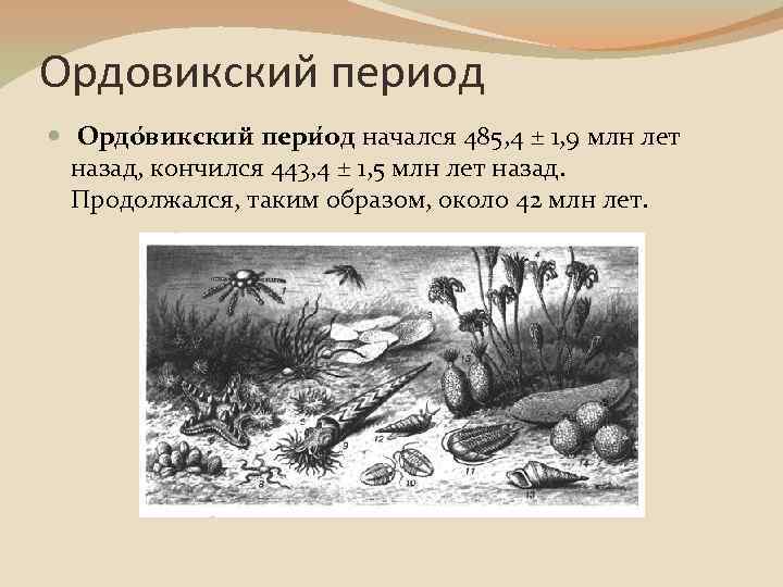 Ордовикский период Ордо викский пери од начался 485, 4 ± 1, 9 млн лет