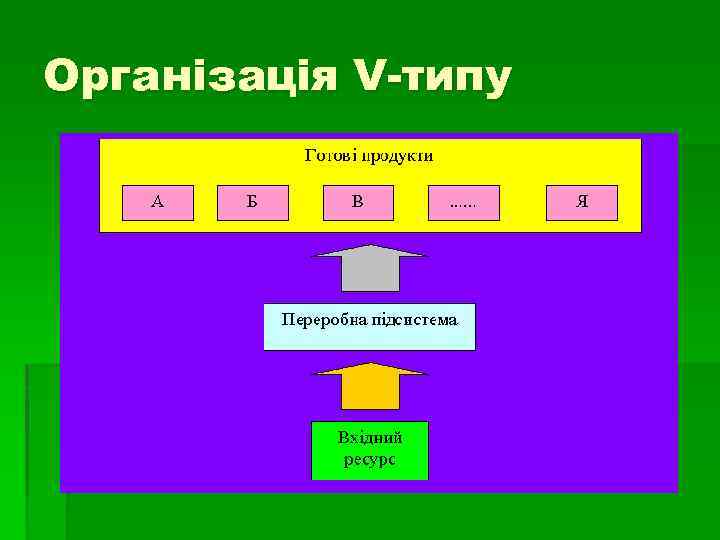 Організація V-типу 