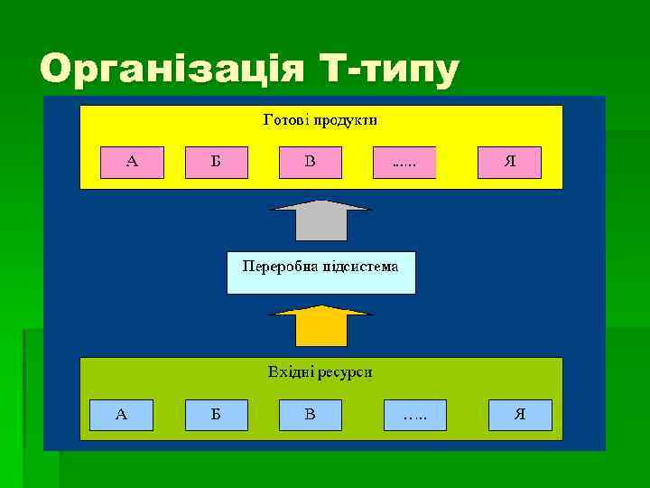 Організація Т-типу 