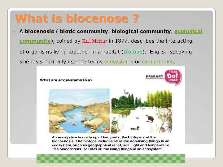 What is biocenose ? A biocenosis ( biotic community, biological community, ecological community), coined