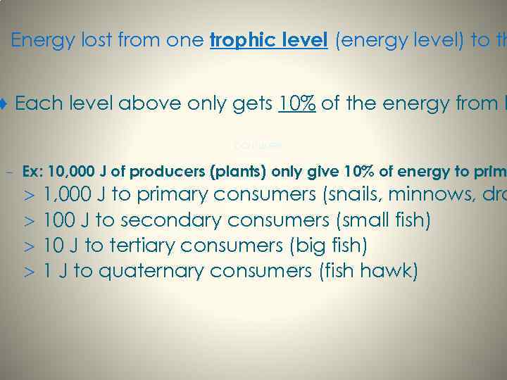 Energy lost from one trophic level (energy level) to th ♦ Each level above