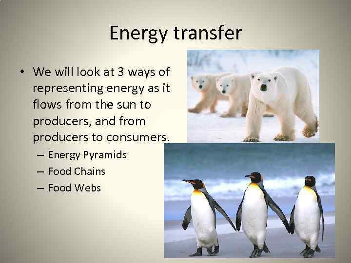 Energy transfer • We will look at 3 ways of representing energy as it