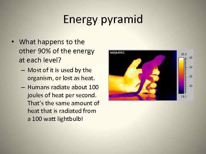 Energy pyramid • What happens to the other 90% of the energy at each