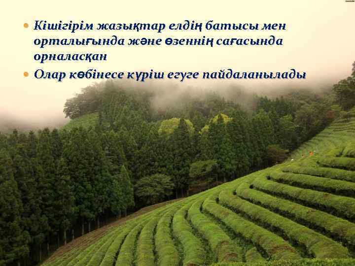  Кішігірім жазықтар елдің батысы мен орталығында және өзеннің сағасында орналасқан Олар көбінесе күріш