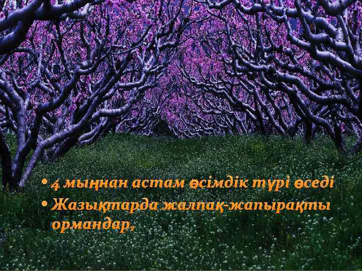  4 мыңнан астам өсімдік түрі өседі Жазықтарда жалпақ-жапырақты ормандар; 