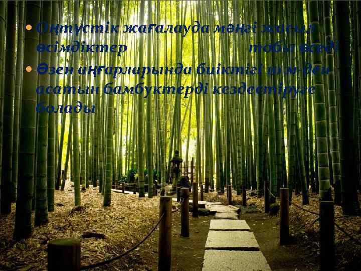  Оңтүстік жағалауда мәңгі жасыл өсімдіктер тобы өседі Өзен аңғарларында биіктігі 10 м-ден асатын