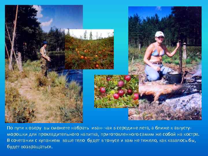 По пути к озеру вы сможете набрать иван- чая в середине лета, а ближе