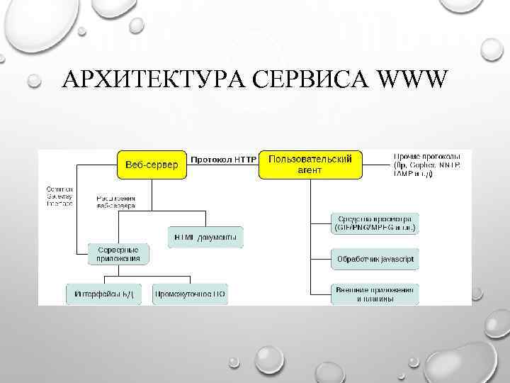 АРХИТЕКТУРА СЕРВИСА WWW 