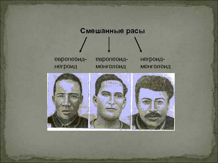 Смешанные расы европеоиднегроид европеоидмонголоид негроидмонголоид 