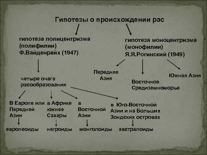 Гипотезы о происхождении рас гипотеза полицентризма (полифилии) Ф. Вайденрайх (1947) четыре очага расообразования В