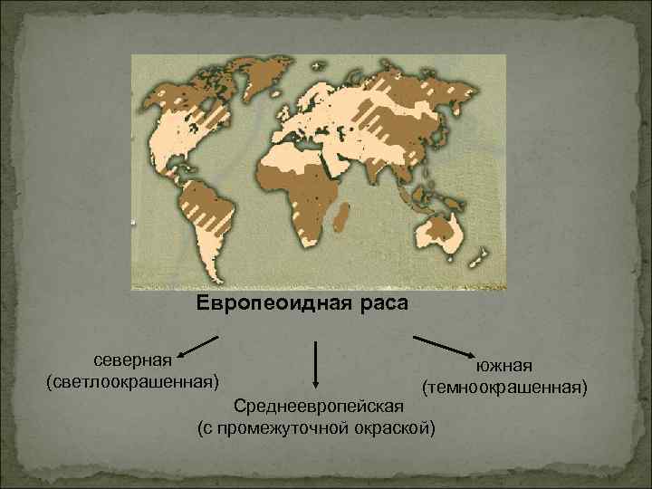 Ареалы рас. Ареал обитания европеоидной расы. Территория распространения европеоидной расы. Первоначальный ареал европеоидной расы. Европеоидная раса место обитания.