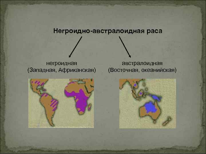 Негроидная раса карта