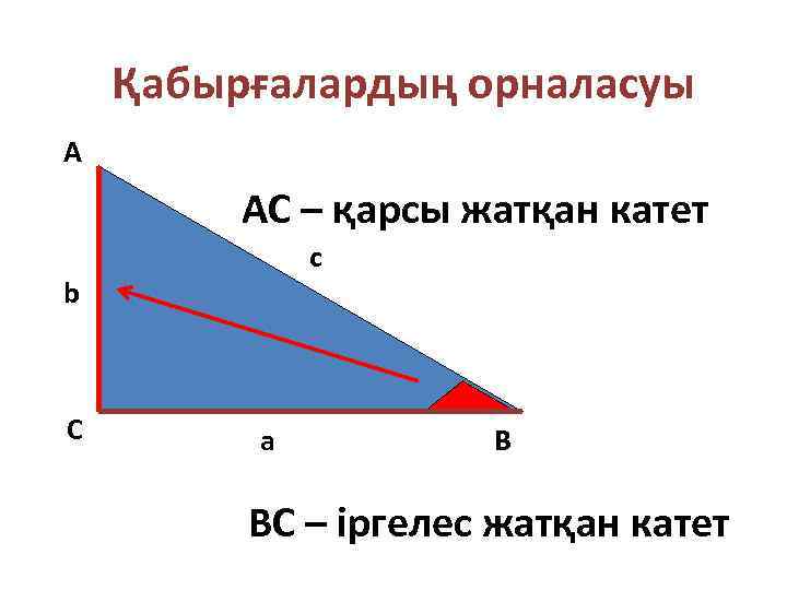 Қабырғалардың орналасуы А АС – қарсы жатқан катет c b С a В ВС