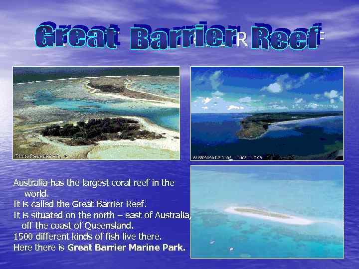 GREAT BARRIER REEF Australia has the largest coral reef in the world. It is