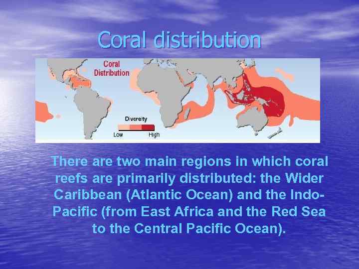 Coral distribution There are two main regions in which coral reefs are primarily distributed: