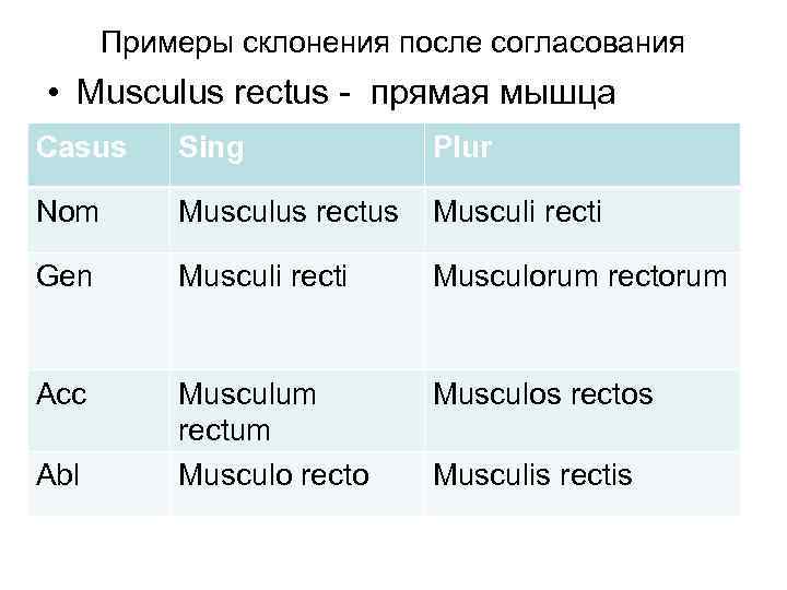 Примеры склонения после согласования • Musculus rectus - прямая мышца Сasus Sing Plur Nom