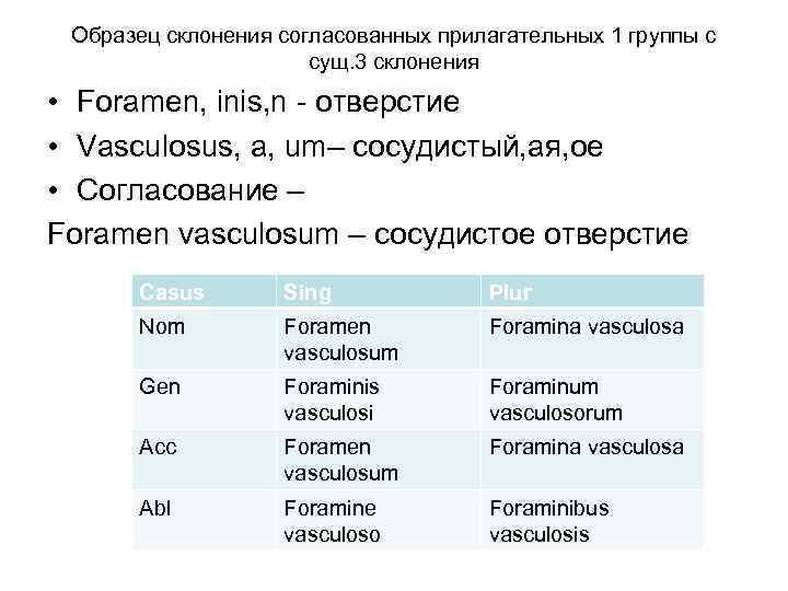 Образец склонения согласованных прилагательных 1 группы с сущ. 3 склонения • Foramen, inis, n