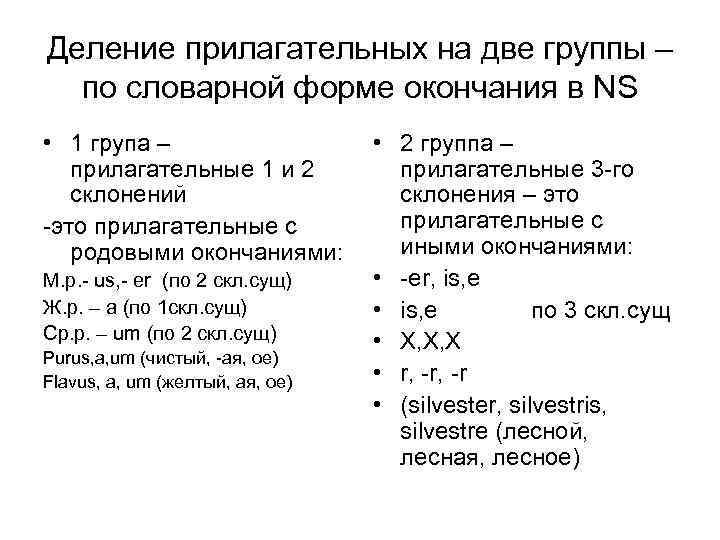 Деление прилагательных на две группы – по словарной форме окончания в NS • 1