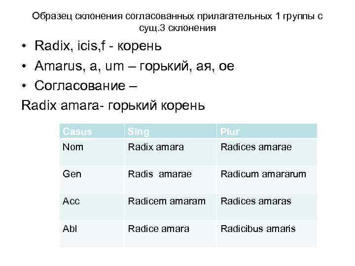 Образец склонения согласованных прилагательных 1 группы с сущ. 3 склонения • Radix, icis, f