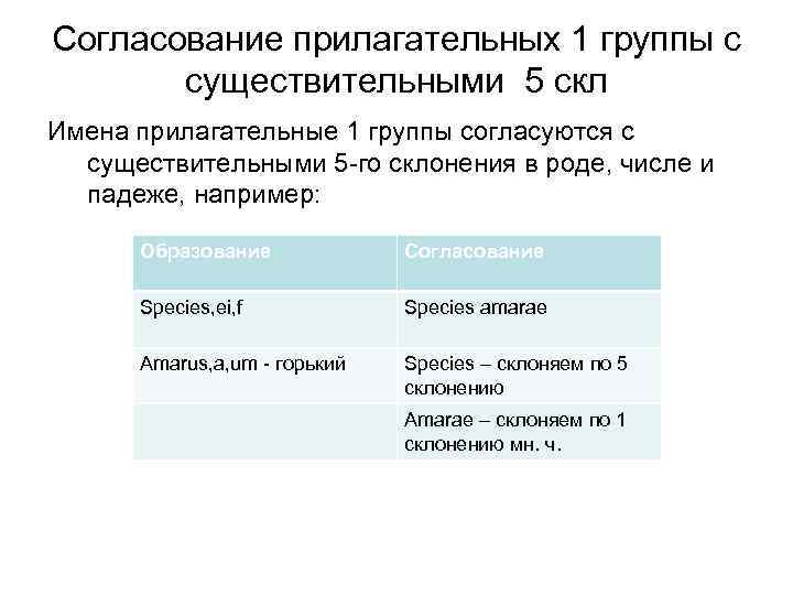 Согласование прилагательных 1 группы с существительными 5 скл Имена прилагательные 1 группы согласуются с