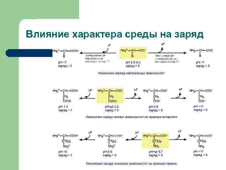 Влияние характера среды на заряд 