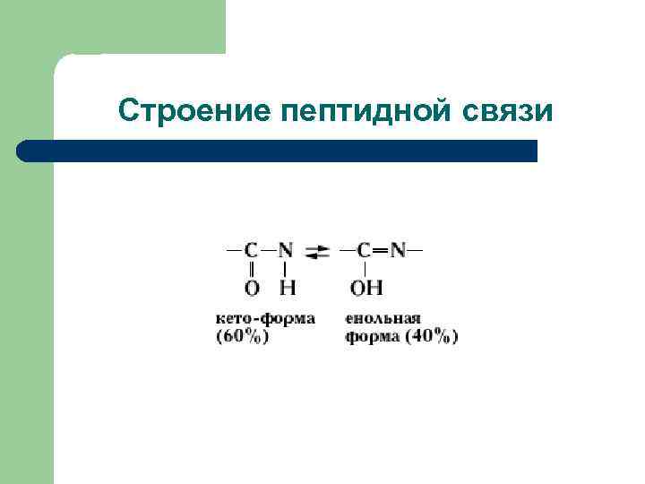 Строение пептидной связи 