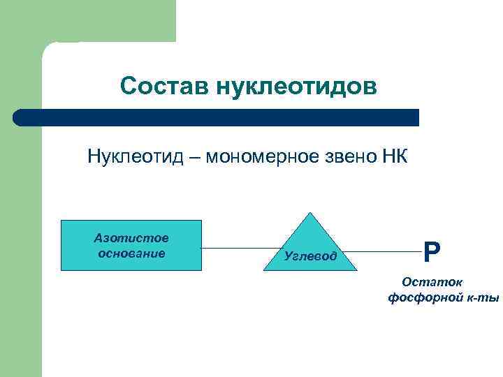 Состав нуклеотидов Нуклеотид – мономерное звено НК Азотистое основание Углевод Р Остаток фосфорной к-ты