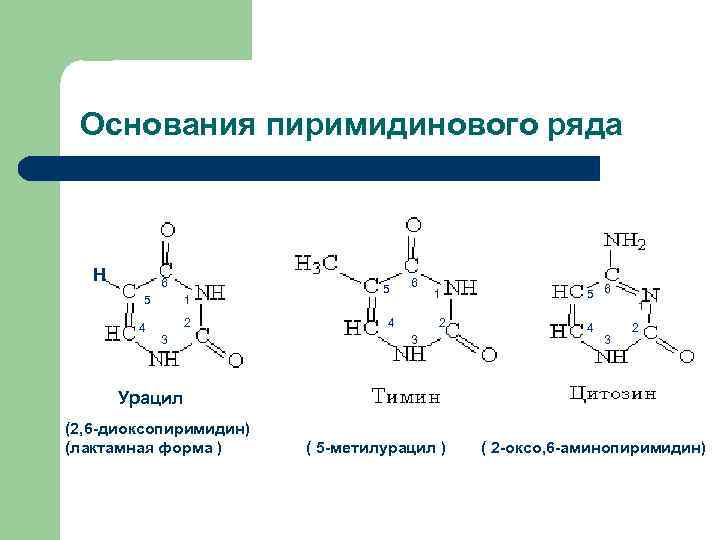 Пиримидиновые основания