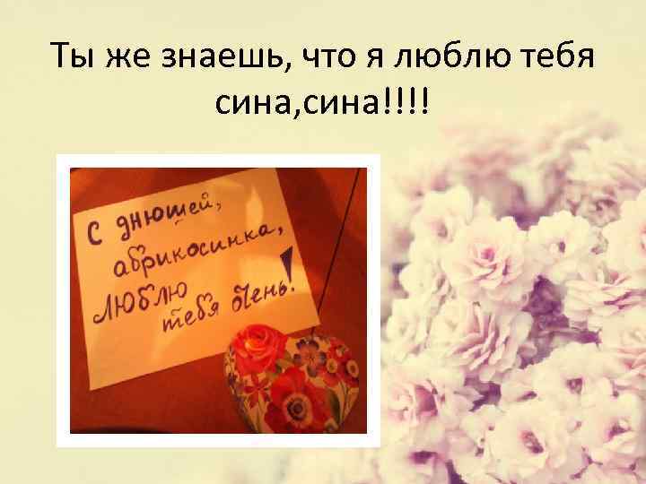 Ты же знаешь, что я люблю тебя сина, сина!!!! 