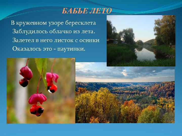 БАБЬЕ ЛЕТО В кружевном узоре бересклета Заблудилось облачко из лета. Залетел в него листок