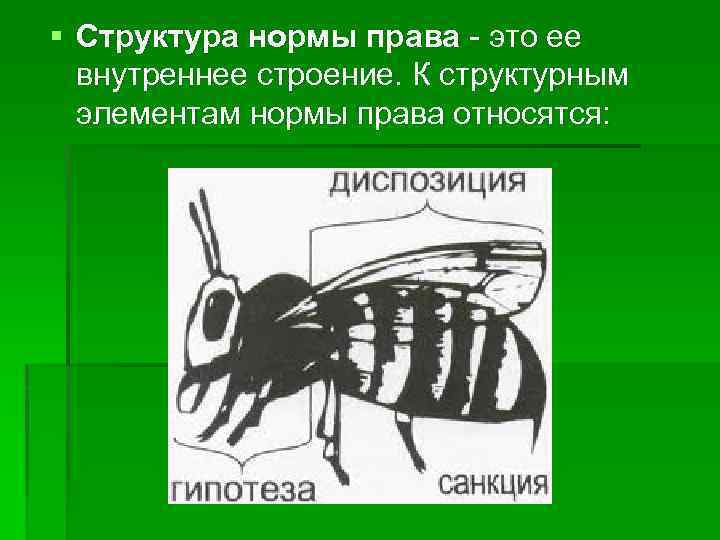 § Структура нормы права - это ее внутреннее строение. К структурным элементам нормы права