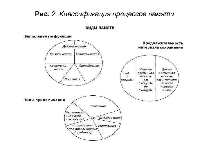 Рис. 2. Классификация процессов памяти 