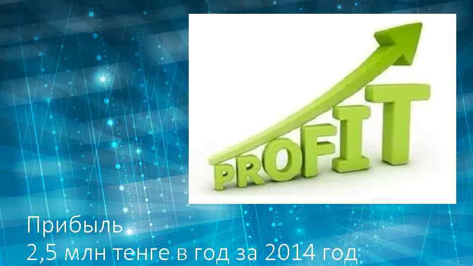 Прибыль 2, 5 млн тенге в год за 2014 год 